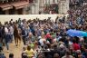 Assegnazione dei cavalli: le foto di Benedetta Aucone